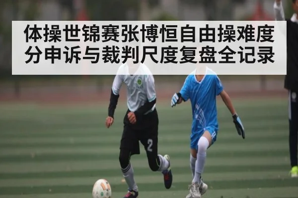 体操世锦赛张博恒自由操难度分申诉与裁判尺度复盘全记录